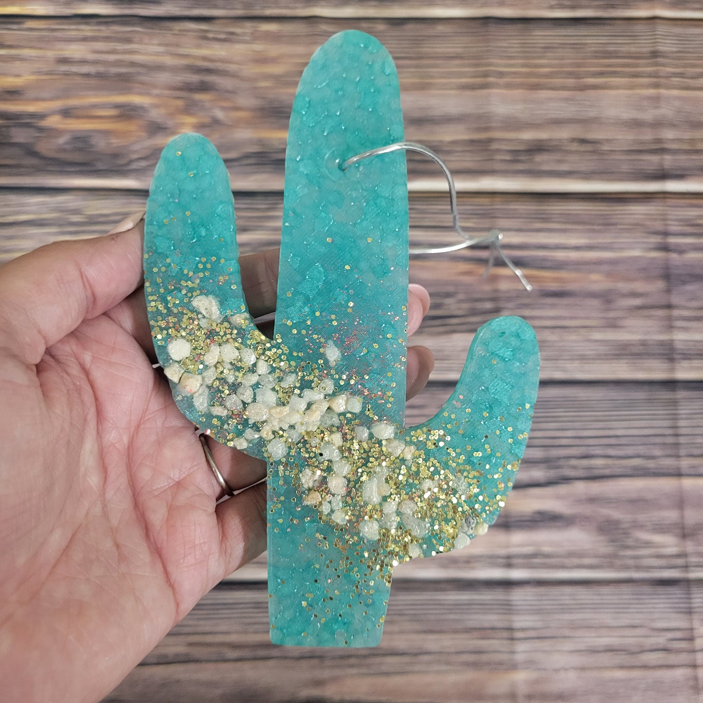 Cactus w/rocks