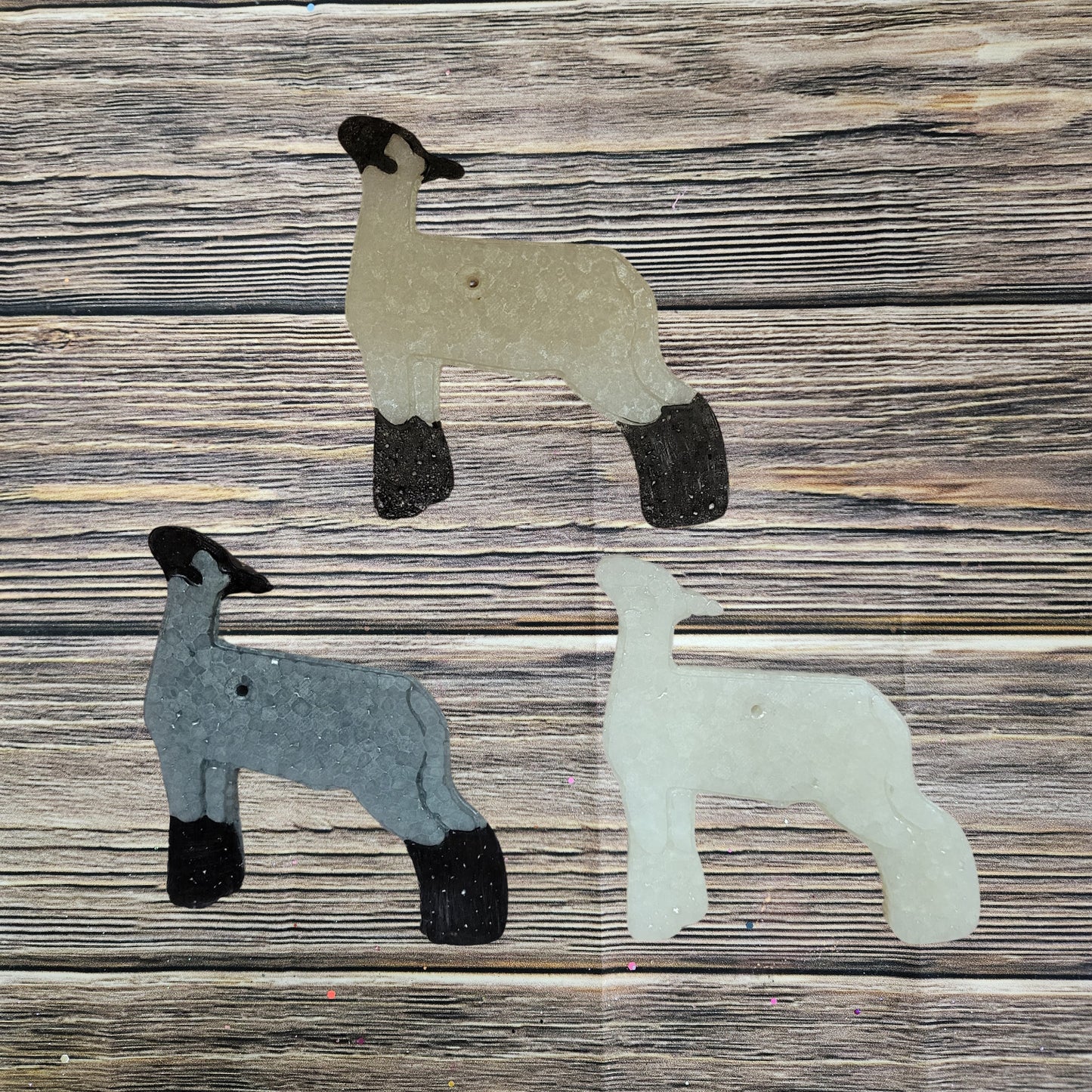 Sheep