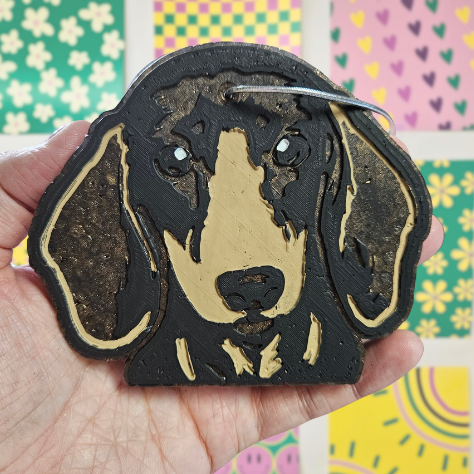 Dachshund